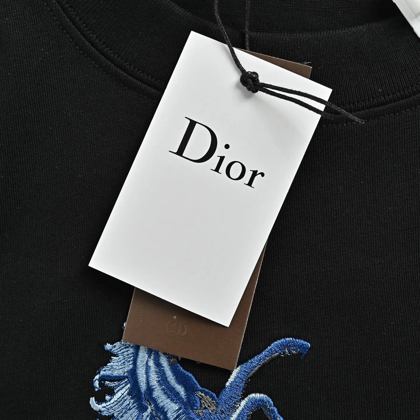 Dior/ 26ss