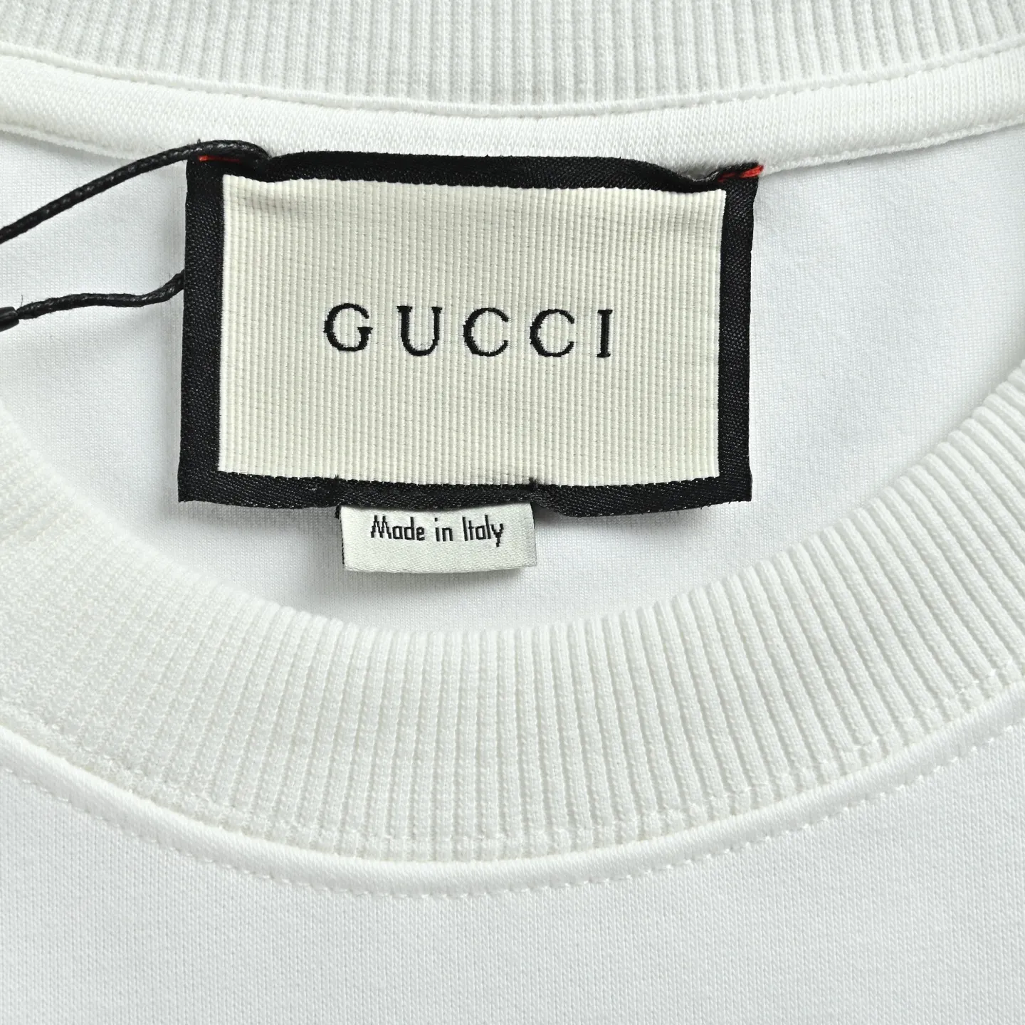 Gucci/ Series