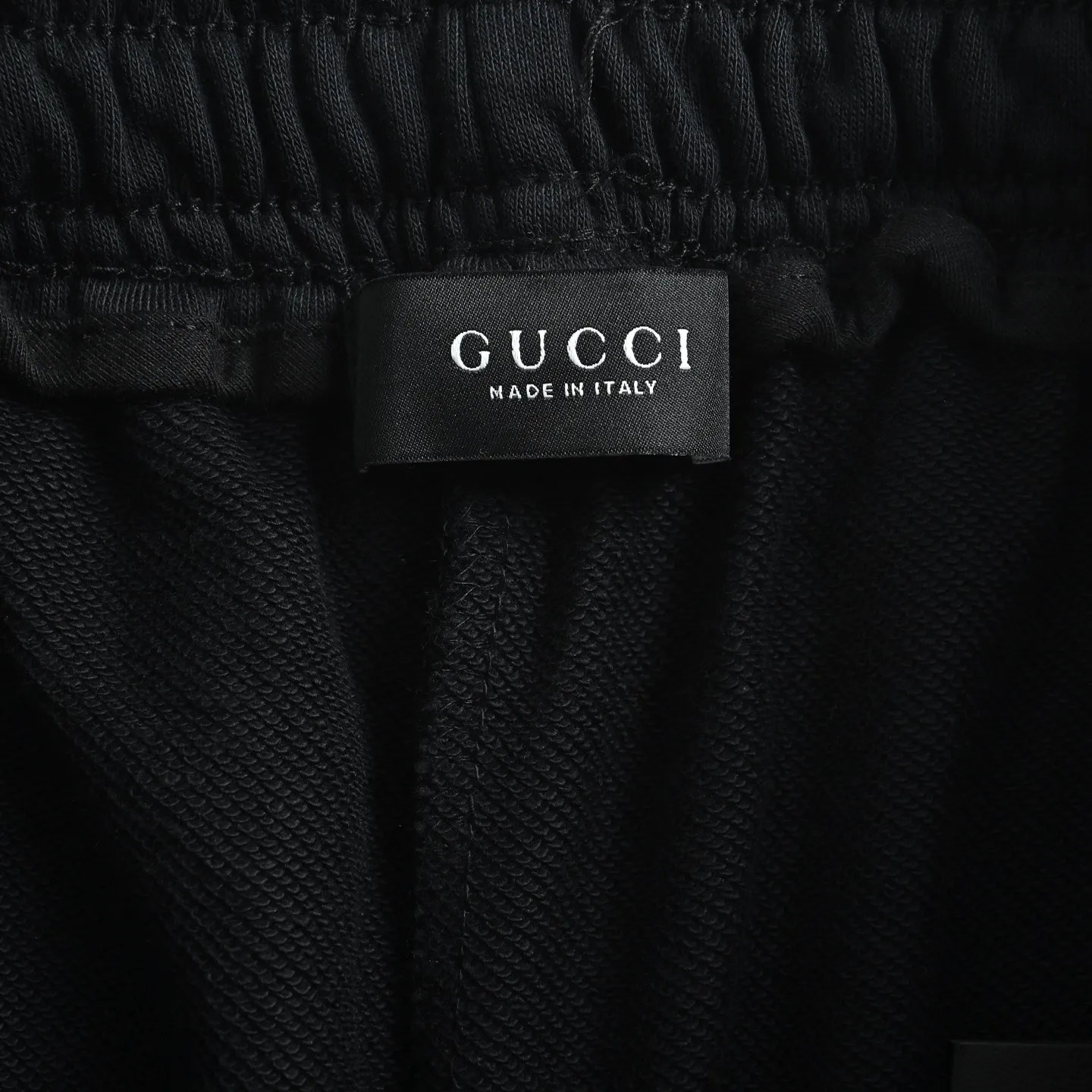 Gucci/ Web