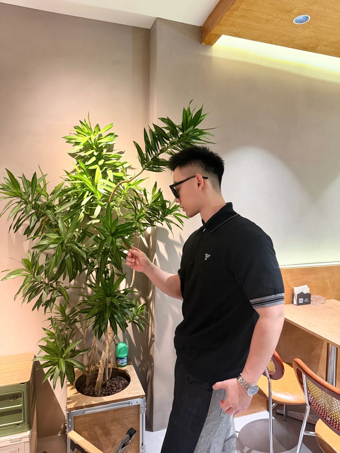 Prada/ Polo