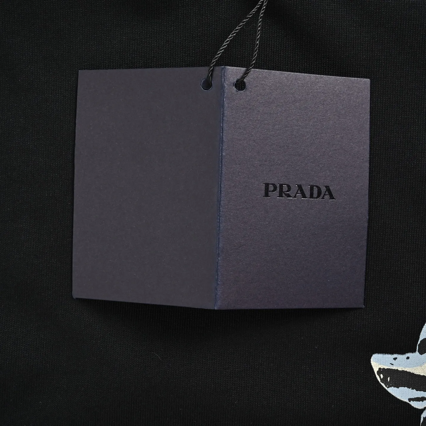 Prada/ 26ss