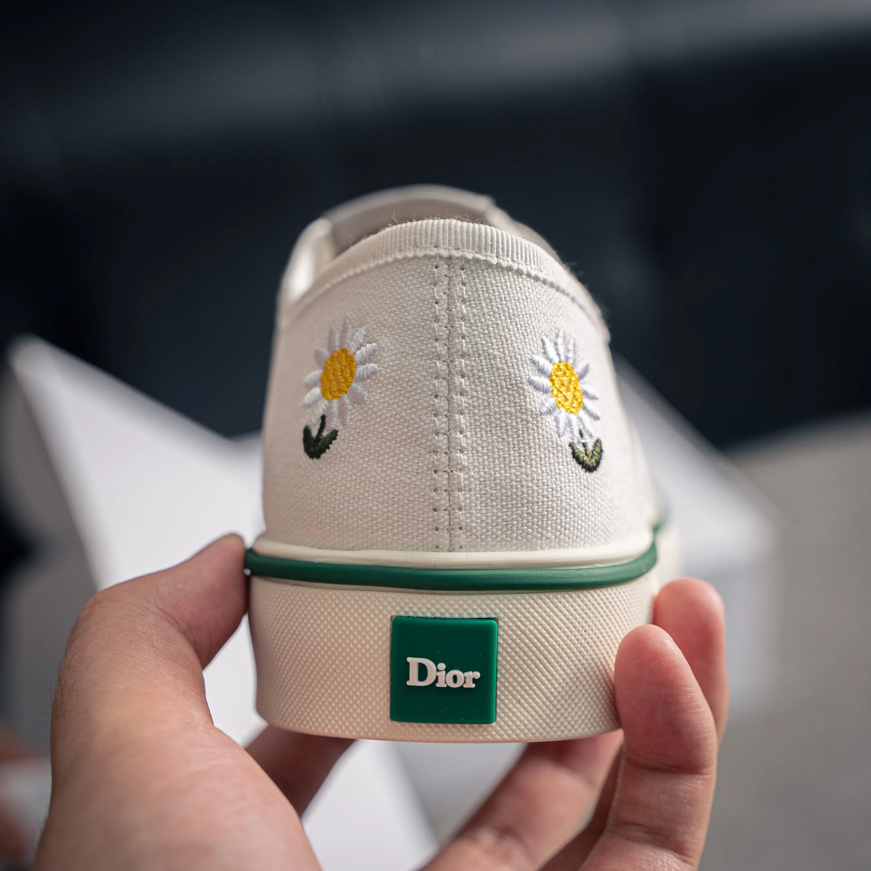 Dior Saltwind Series Retro Canvas Shoes Sneakers Skate Shoes · (Jonathan Anderson) Dior Saltwind Sneakers