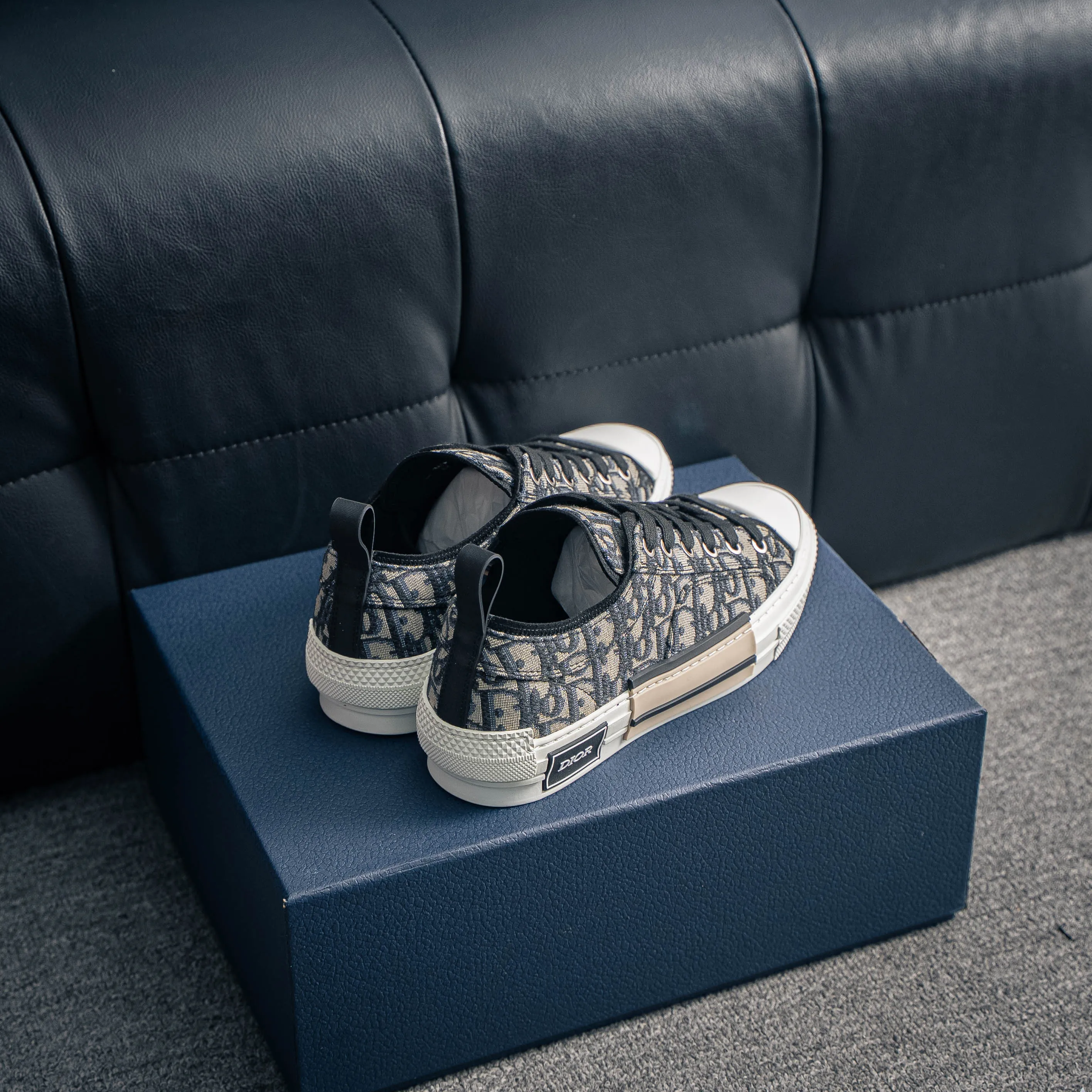Series Dior B 23 “CD ”Series Shoes （ ） EVC