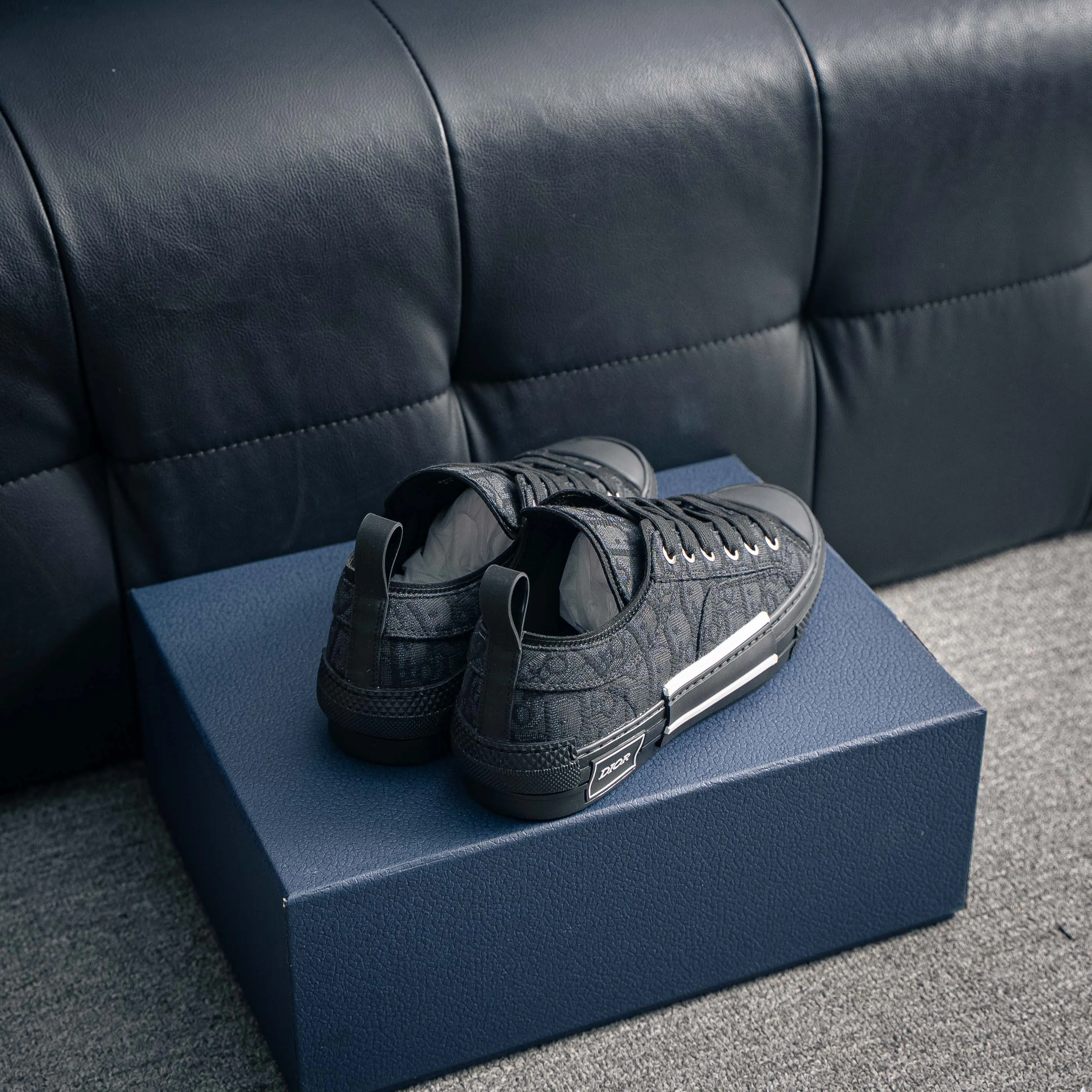 Series Dior B 23 “CD ”Series Shoes （ ） EVC