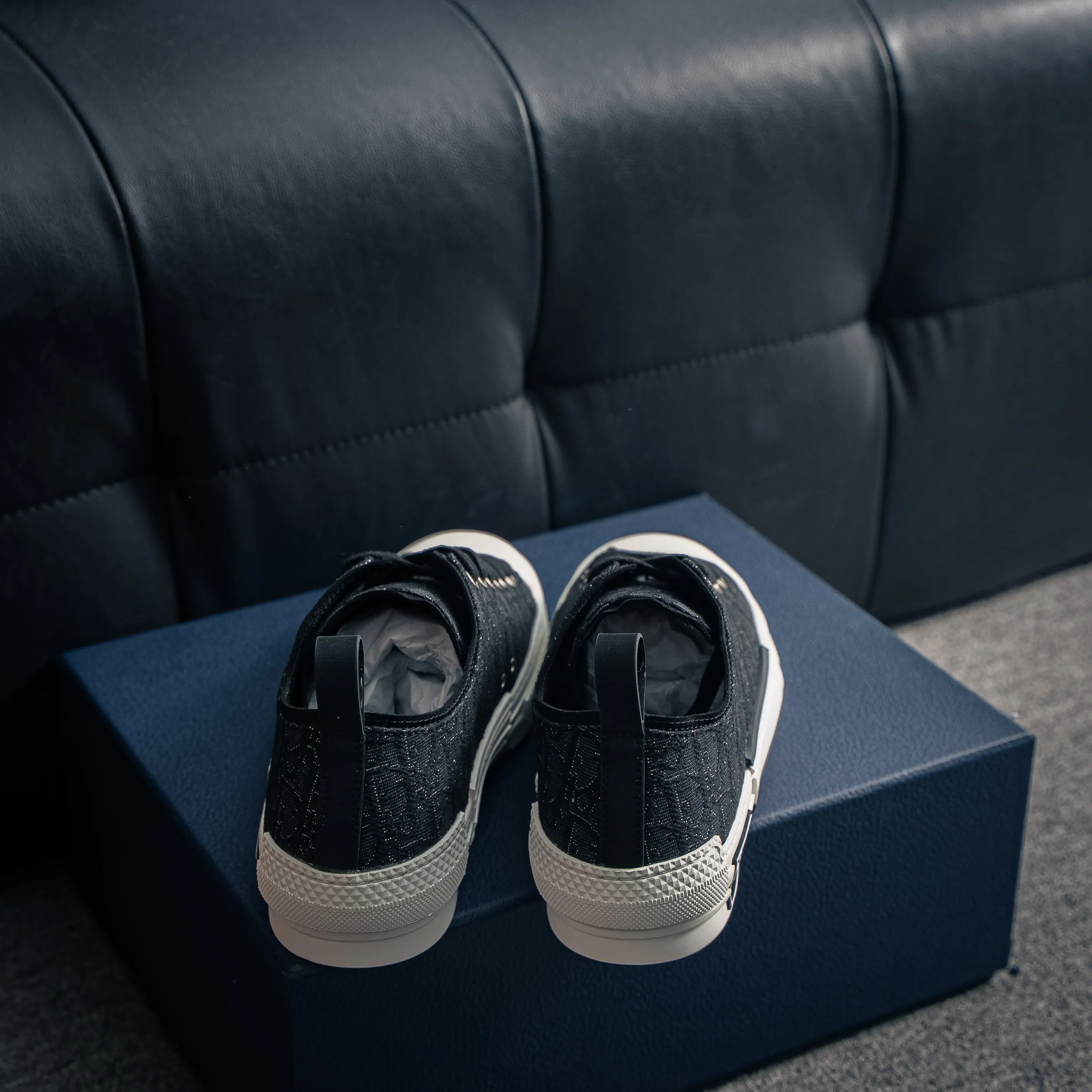 # Series Dior B 23 “CD ”Series Shoes （ ） EVC