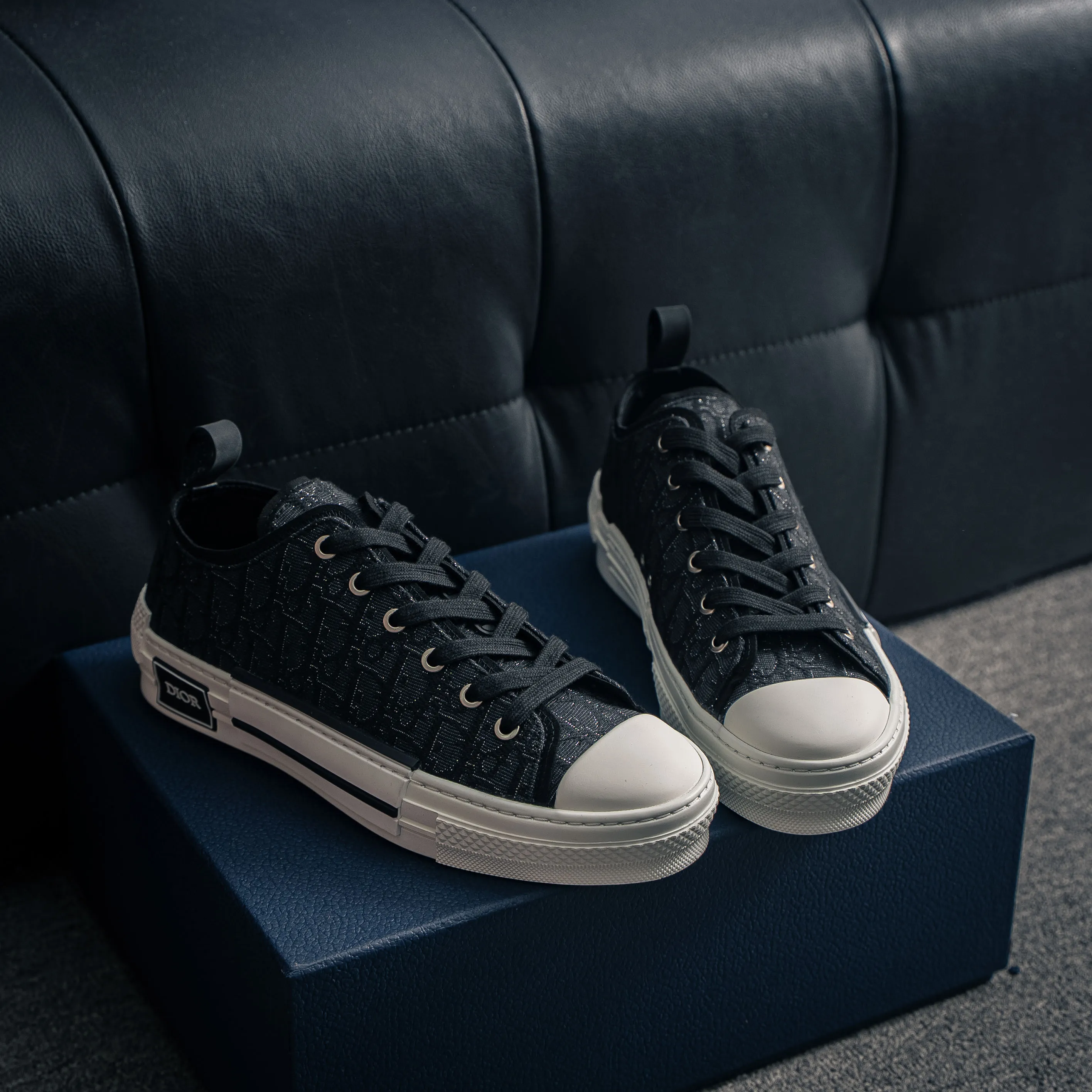 # Series Dior B 23 “CD ”Series Shoes （ ） EVC