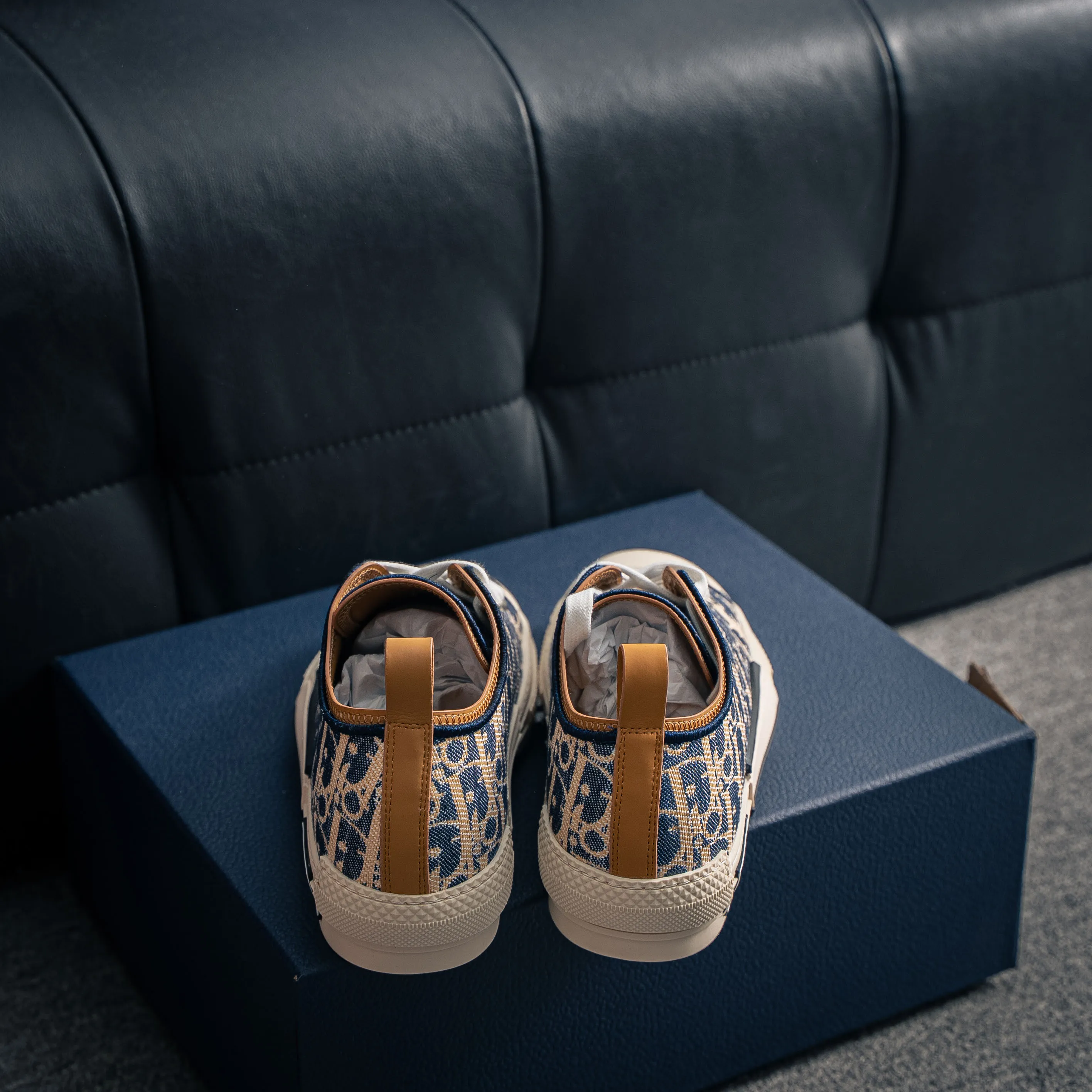 # Series Dior B 23 “CD ”Series Shoes （ ） EVC
