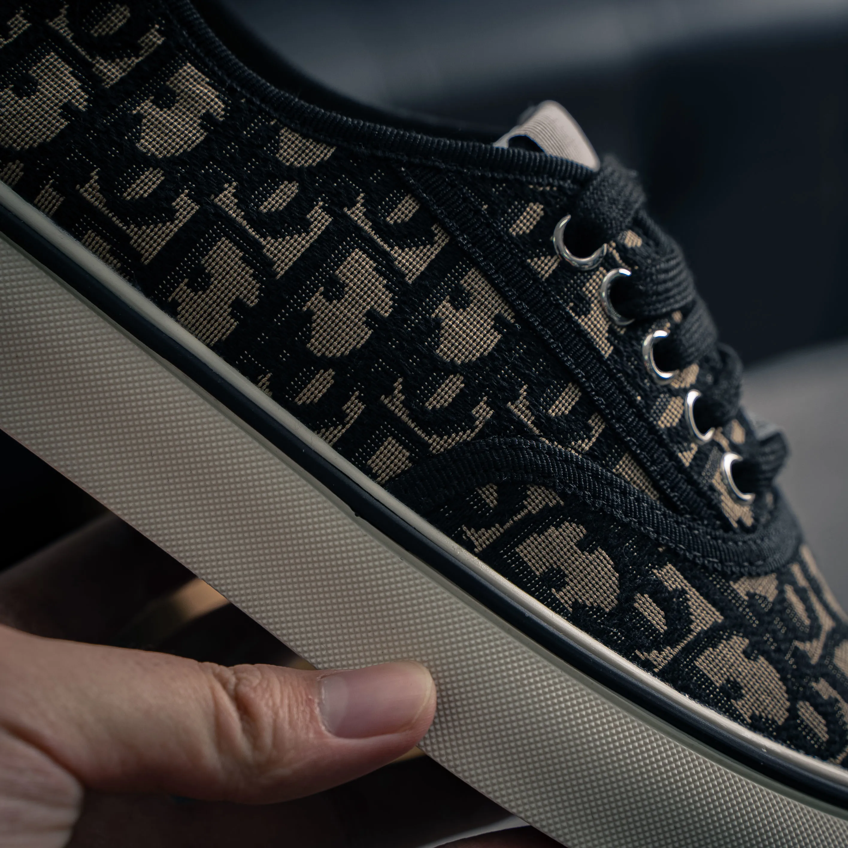 ( ) Dior Saltwind Series Retro Canvas Shoes Sneakers Skate Shoes · (Jonathan Anderson) Dior Saltw